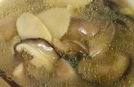 菌菇汤有哪七种材料不能放（菌菇汤不能放什么调料）