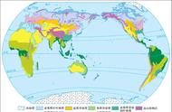 温带大陆性气候由南向北植被类型（温带大陆气候植被类型）