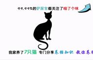 自制猫罐头诀窍（猫罐头制作全过程）