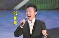 儿行千里刘和刚父亲（刘和刚父亲王宏伟儿行千里）