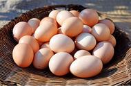 人造蛋和普通蛋煮熟了有区别吗（人造蛋和真正鸡蛋的区别）