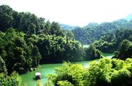 青龙湖森林公园图片（青龙湖万亩森林公园导游图）