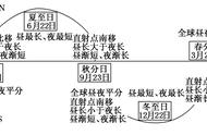 垂直结构的复杂程度取决于什么