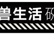 健身为什么是吃鸡肉不是鸭肉（健身人士为什么不吃猪肉鸭肉）