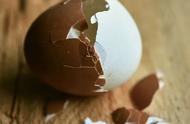 鸡蛋壳磨碎补钙有用吗（鸡蛋壳打成粉末吃能补钙吗）