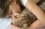 猫为何喜欢和人一起睡（猫对人有感情吗）