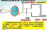 夜晚肉眼能看到恒星吗（肉眼看到的恒星是实时的吗）