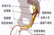 肛周长疱疹挂什么科（肛周疱疹是怎么引起的）