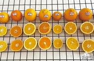 哪种橙子最甜最好吃
