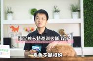 狗狗挑食不爱吃狗粮怎么办（狗狗不爱吃狗粮挑食严重）