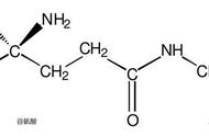 茶氨酸分子由几种元素组成（茶氨酸主要药理作用是什么）