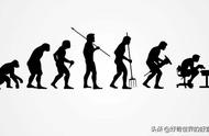 人猿是怎么进化来的（人猿进化到底是什么）