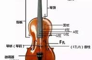 小提琴的英语叫什么（小提琴英语怎么读）