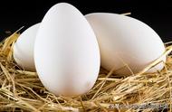 孕妇吃鹅蛋最佳时间吃几个（孕妇吃鹅蛋的最佳时间和用量）