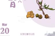 长芽白薯能吃吗（白薯可以生吃吗专家建议）