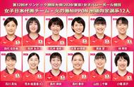 日本排球队员名单（日本排球联赛中国队员名单）