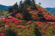 武汉境内的最高山（武汉最高的山峰在哪里）