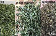 黄山毛峰几月的茶最好（黄山毛峰是绿茶还是黄茶）