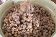 家庭自制水豆豉的做法（自己在家如何做水豆豉）