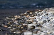 河滩上的鹅卵石是怎么形成的（和田鹅卵石怎么形成）