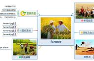 farmer怎么读英语（farmer英语怎么拼读）