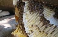 甘油配蜂蜜有什么好处