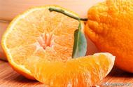 丑橘树苗怎么养（丑橘的储存方法）