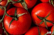 每天什么时候吃西红柿减肥效果最好（减肥期间什么时间吃西红柿最好）