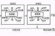 怎样消除水中微生物（水中的微生物如何去除）