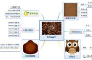 brown是什么意思怎么读（brown在人名里是什么意思）