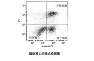 常见的细胞凋亡的检测方法（细胞凋亡检测方法图解）