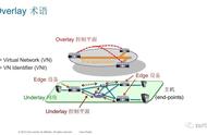 网络上sd是什么意思啊（sd是什么网络词）