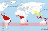 世界五大非地带性热带雨林气候（非地带性热带雨林气候成因）