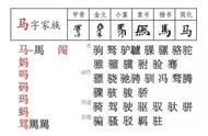 马字旁的有什么字（马字旁的字都有哪个字）