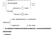 有机化学基础知识点总结（有机化学基础知识点整理）