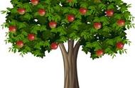 苹果在树上用in还是on（in和on在树上的用法）