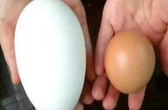 鹅蛋怎么做给孕妇吃（孕妇正确吃鹅蛋的方法）