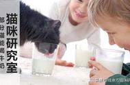 猫可以喝一点点纯牛奶吗（猫可以喝一点点甜牛奶吗）