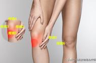 膝盖疼痛位置图（膝盖疼痛图解大全）