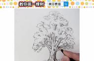 怎么画树枝和树干素描（素描怎么画树枝和树干）