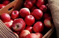 三天苹果减肥法吃多少（七天苹果减肥法步骤）