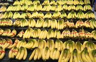 怎样挑选自然成熟的香蕉（挑选香蕉最佳方法）