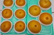 40元一斤梨树品种（20元一斤新品种桃子）