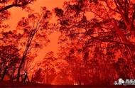 澳大利亚山火被嘲笑（澳洲大火100天以后恢复）