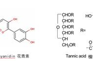 白板笔干啥用的（白板笔是用来干嘛的）