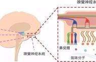 佛手柑精油可以直接用吗（没有佛手柑精油可以用什么代替）