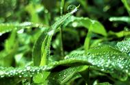 手机下雨怎么拍出雨点（手机拍照下雨怎么拍出雨滴）