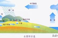 关于蒸腾作用的知识点（蒸腾作用的部位及方式）