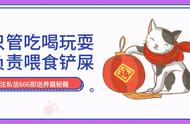 德文卷毛猫能自己繁殖吗（德文卷毛猫是小型猫吗）