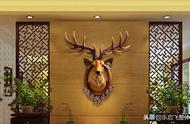 鹿头挂在客厅什么位置好（鹿头挂客厅头朝门口好吗）